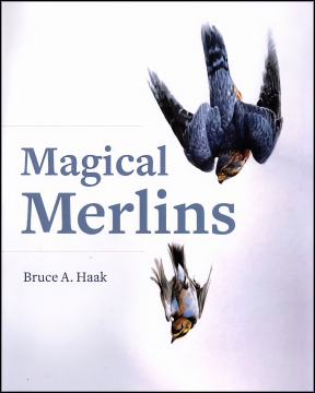 Magical Merlins by Bruce Haak,  8 x 10 1/2, Hardbound, Dust Wrapper