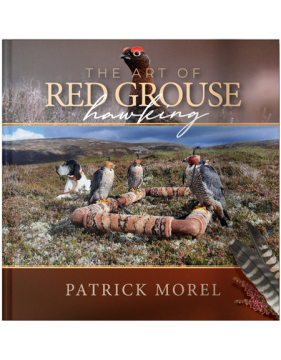 The Art of  Red Grouse Hawking - Patrick Morel - Beautiful Book About Falconry