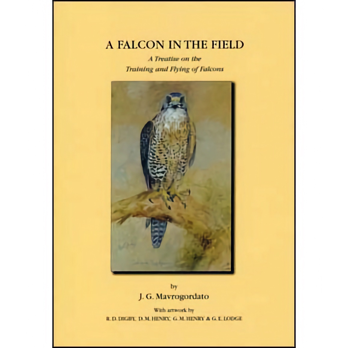 A Falcon In The Field Jack Mavrogordato | Falconry