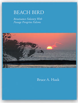 Beach Bird, Bruce Haak, 6 x 9, Hardbound, Dust Wrapper