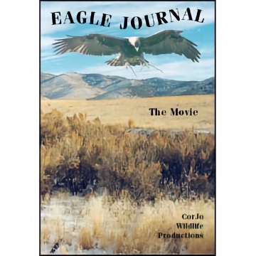 Eagle Journal - The Movie - DVD, by  CorJo Wildlife Productions (R)