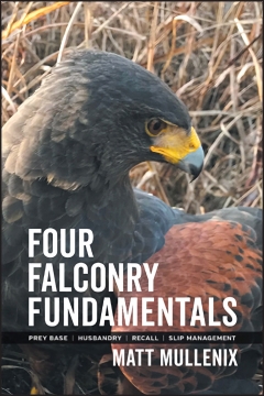 Western Sporting Falconry -: Falconry Kits