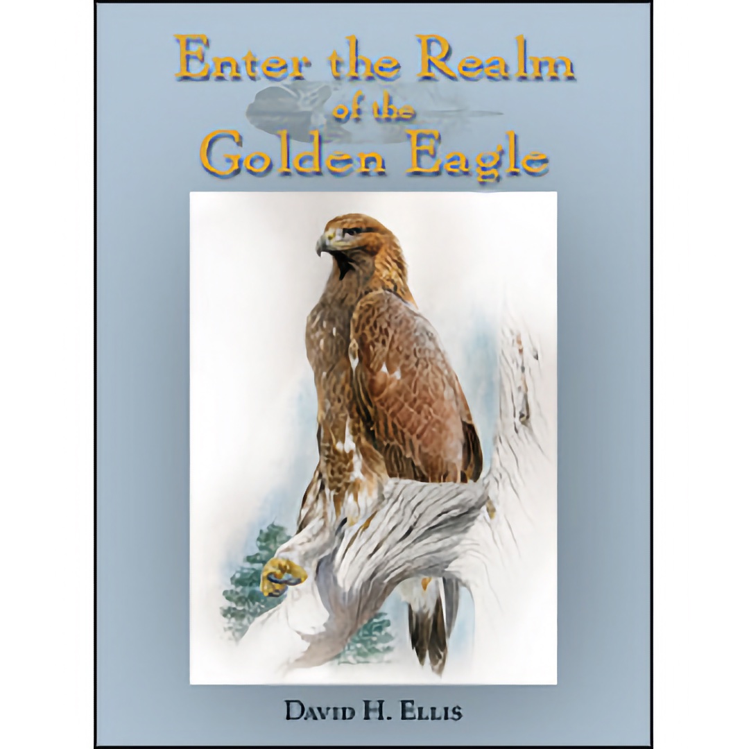 Western Sporting Enter The Realm Of The Golden Eagle