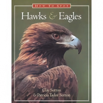 How to Spot Hawks & Eagles - by Clay & Patricia Sutton, Softbound, 143 pages