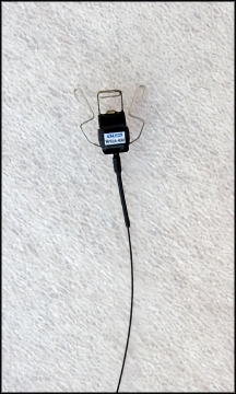 MX Mini 377 Battery Transmitter - 434 MHz (UHF) - Leg and Tail Mount