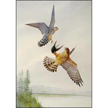 Aerial Reunion - Art Print - by R. David Digby - See Larger Image