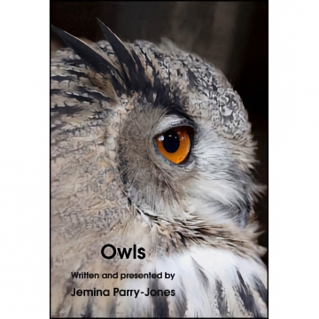 Raising & Training Owls, Jemima Parry-Jones, 55 Minutes - Learn How Easy it is to Raise an Owl (R)