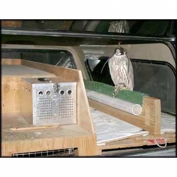 2 Pigeon Transport Crate - Aluminum Basket - Lightweight and Saves Space