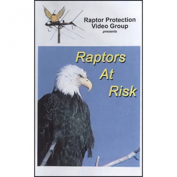 Raptors At Risk - VHS, Raptor Protection Video Group, 27 Minutes