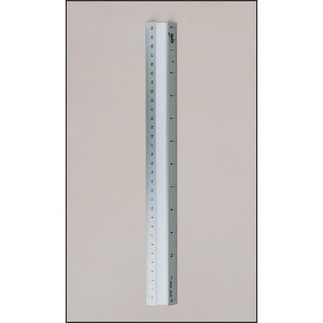 metric and standard ruler