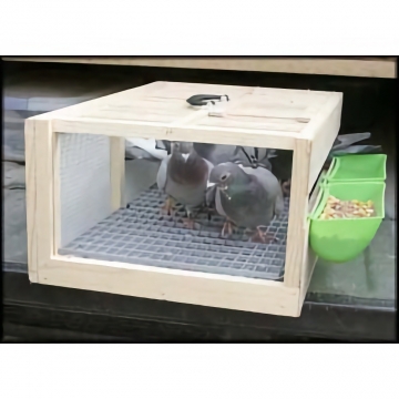 Training Crate Grill - Keeps Pigeons Feet Clean - See More Information