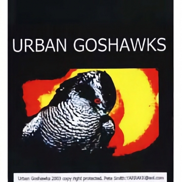 Urban Goshawks - DVD, Pete Smith & Chris Soan, Yarrakk Films/Western Sporting