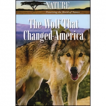 The Wolf That Changed America & White Falcon / White Wolf  - DVD