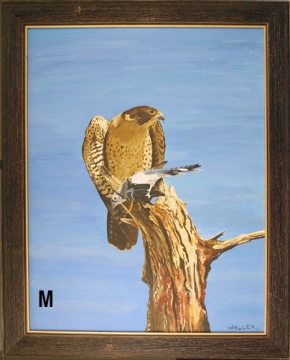 Original Artwork by Renz Waller - Adult Peregrine Falcon and Blue Jay